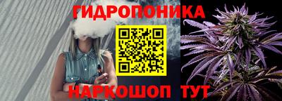 сатива Анапа