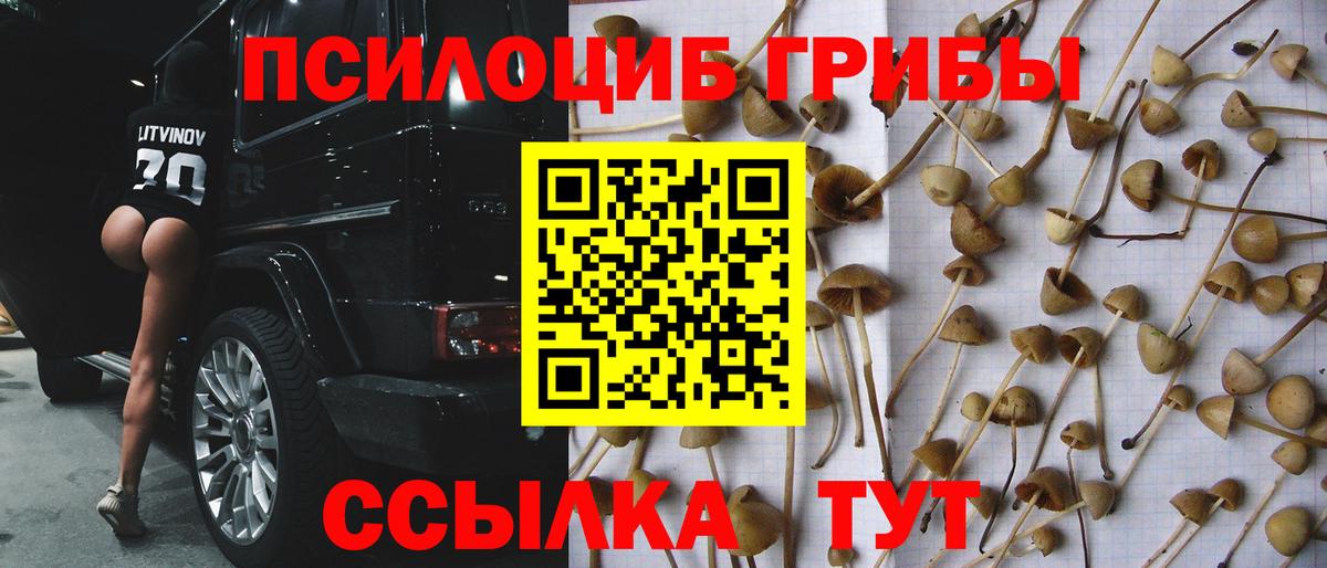 Псилоцибиновые грибы Magic Shrooms  Псилоцибиновые грибы MAGIC MUSHROOMS  дарнет шоп  Городец  Вход с VPN 